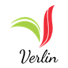 https://verlin.id/wp-content/uploads/2025/11/VERLIN-Small-Favicon.png 2x