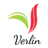 https://verlin.id/wp-content/uploads/2025/11/VERLIN-Small-Favicon.png 2x